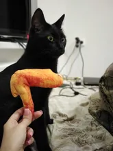 Hueso de carne forma de perro de mascota Squeaker Juguetes Para masticable para perros cachorro gato juguete accesorios de mascotas interesante Zabawki Dla Psa Kedi Malzemeleri