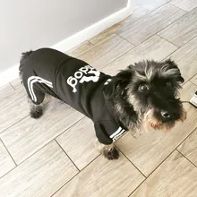 Traje para mascotas pequeñas y medianas, mono para cachorros, ideal para bulldog francés, chihuahua o pug