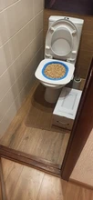 Cat Toilet Litter-Box Puppy-Cat-Litter-Mat Training-Kit Plastic 40--40--3.5cm