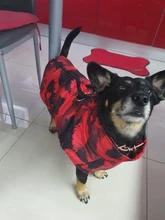 Vest Coat Jacket Pet-Dog-Clothes French-Bulldog-Pet Dogs Small Waterproof Large Winter