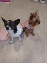 Vest Clothing Pet-Jacket Dog-Coat Puppy French-Bulldog Small Dogs Warm Waterproof Winter