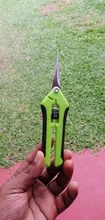 Tijeras de podar de acero inoxidable para jardín, para recoger frutas, para el hogar, en maceta, ramas de marihuana, tijeras pequeñas, herramientas de jardinería