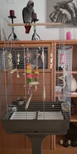 Bird Parrot Toys Ladders Cockatiels Wooden Climbing Cage-Supplies Perches Hanging-Swing-Hammock
