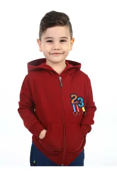 

Burgundy Seasonal Male Child Jacket
