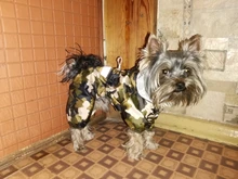 Abrigo de lluvia para cachorros y mascotas, chaquetas impermeables de PU para perros y gatos, ropa de capucha de cuatro patas, al por mayor