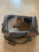 Pet-Bag Chihuahua Portable Pets-Handbag Dog Mesh Cat