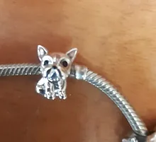 Plata de Ley 925 de un perro historia caniche Cachorro Bulldog Francés perlas encanto Fit BISAER encantos de plata 925 Pulsera Original