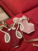 Conjunto de arnés y correa de nailon para perros y gatos, arnés de perrito, Collar de gato de plomo, chaleco para gatos pequeños, suministros para gatos y mascotas