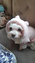 Fleece Pet Dog Clothes Winter Warm Dog Coat Jacket for Dogs Hoodie Soft French Bulldog