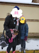 Bolsa de viaje transpirable para mascotas, bolso de hombro de malla Oxford, cómoda, bolso grande de hombro