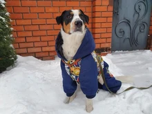 HOOPET Large Coat Down-Jacket Winter New Warm Autumn for Dogs Dog-Prints Overalls Leisure-Style