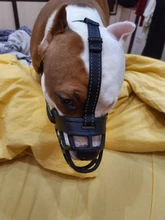 Mascarilla antiladridos para perros, máscara de silicona para evitar morder, con ventilación