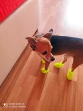 4pcs Pet Dog Shoes Waterproof Rain Pet Shoes for Dog Puppy Rubber Boots Candy Color Puppy