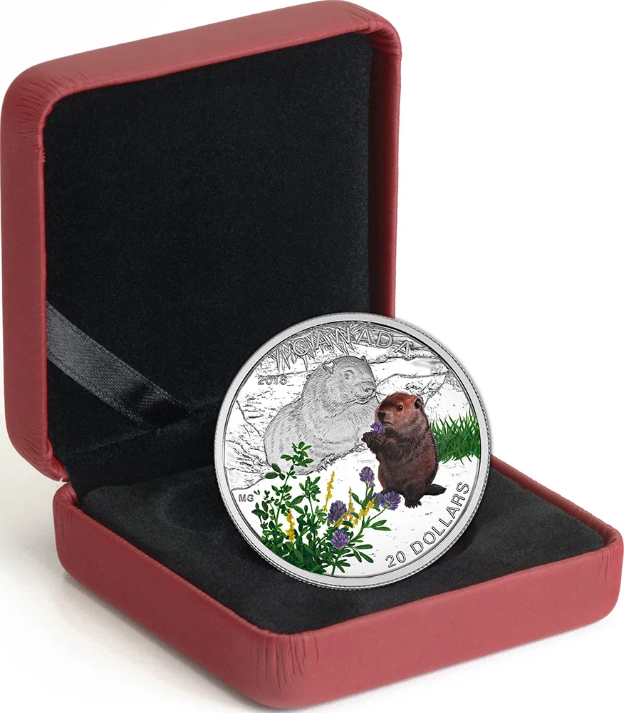 Деревянные животные детские серебряные монеты 20$ Канада