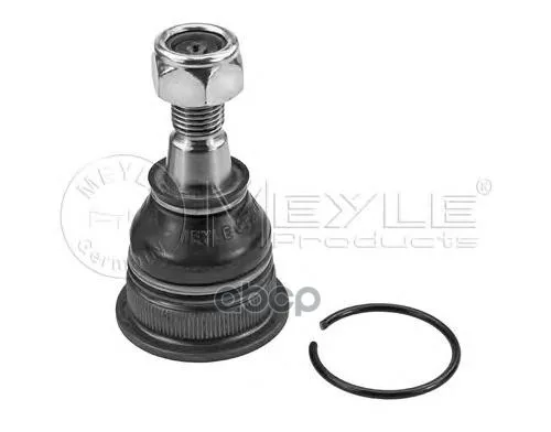 36-16 010 0045_ Ball joint Lower! Nissan Maxima All 00/Primer