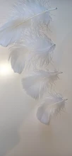 Caja de plumas coloridas para regalo, suministros de llenado artesanal, accesorios de decoración para fiestas de cumpleaños y boda, unids/bolsa, 100