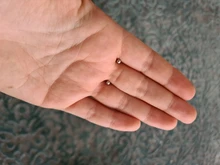 CANNER-pendientes de plata de ley 925 con circonita de cristal, joyería fina con cierre de tuerca, para mujeres