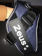 Sticker Harness Patch Label Name-Tag Custom K9 Personalized Pet-Dog 2pcs