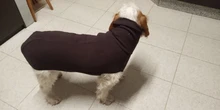 Clothing Pullovers Pet-Coat Pitbull Dogs High-Collar Winter Mascotas Large Medium Big