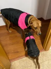 Ropa de perro grande invierno cálido mascota chaleco chaqueta impermeable perro abrigo ropa para perro grande Bulldog Golden Retriever ropa