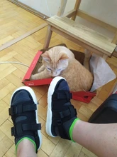 Light-Sandals Slippers Lining Sports-Shoes Outdoors Breathable COCA Women AGUQ002 Leisure