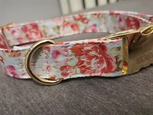 Bag Leash-Set Engraved Dog-Collar Pet Dogs Treat Printed Small Custom Personalized Medium