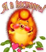 Juego de discos de lijado, gancho y bucle, papel de arena de 125mm con almohadilla de respaldo, adaptador de taladro para Herramientas de limpieza de pulido, 10 Uds.