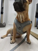 Arnés tipo chaleco sin tirones para perro, correa reflectante para perro pequeño y collar para terrier schnauzer Gato, suministros de entrenamiento para caminar, chihuahua