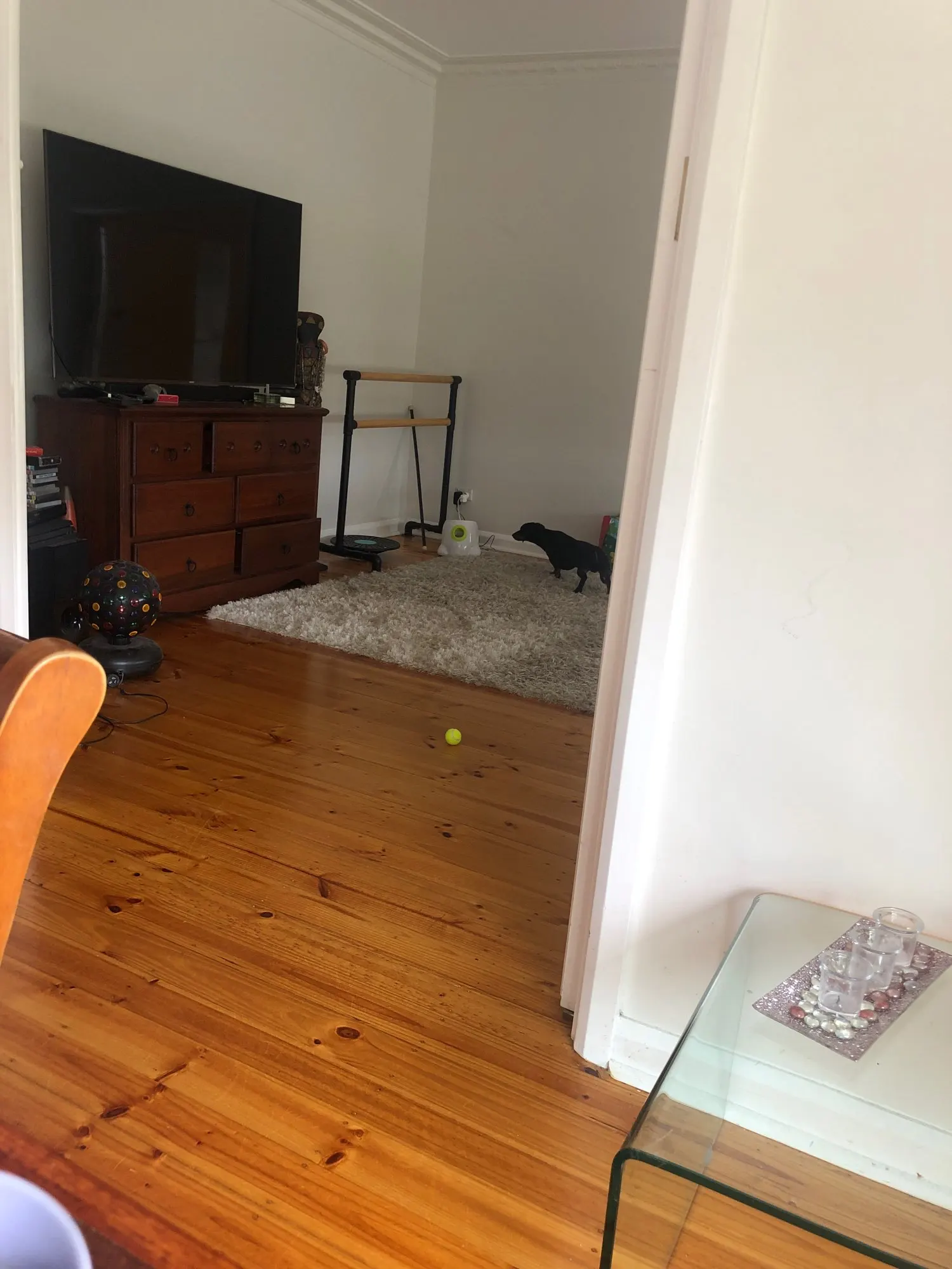 Fetchly Automatic Tennis Ball Launcher Ceelic