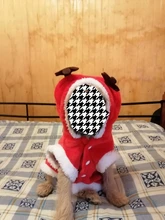 Hoodies Dog-Coat Halloween-Costumes Dogs Christmas Chihuahua Winter New Cats