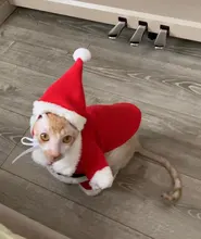 Christmas Pet Dog Cat Costumes Funny Santa Claus Costume For Dogs Cats Winter Warm Dog