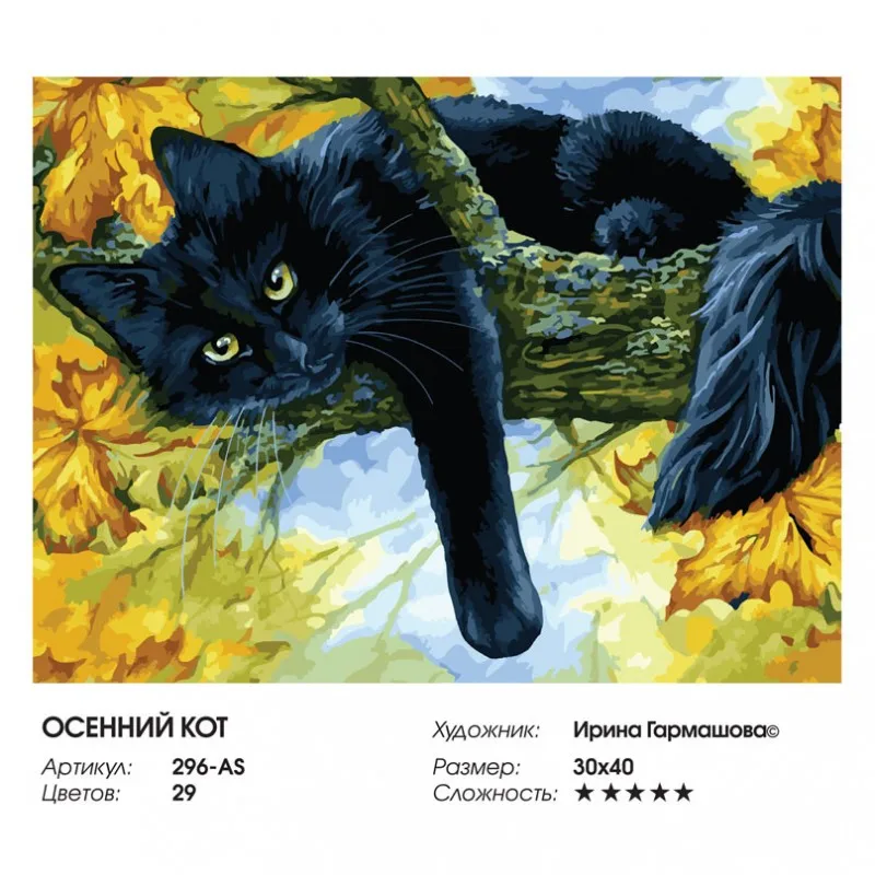 296-as_twice_808-800x800