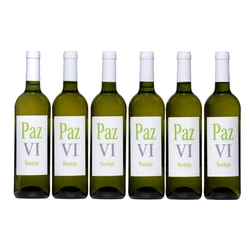 Vino Blanco Verdejo seco afrutado vino joven calidad suprema Paz VI