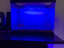Light-Bar Clip-Lamp Aquarium-Lights Submersible Aquatic-Decor Fish-Tank Underwater Blue/white