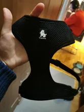 Dog-Harness Pitbull Cats Terrier Truelove Petshop Adjustable Mysudui Black Chihuahua