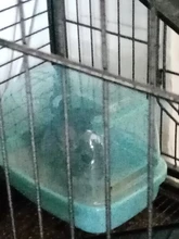 Hedgehog Bath-House Toilet Pets Dust-Bath Chinchilla Shower-Room Small Dry Squirrel Sauna