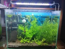 Led-Lighting Aquarium Chihiros Fish-Tank Aquatic-Plant Sunsun Ade Nicrew SMD 18W 220V