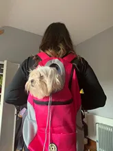 Al aire libre viajes de mascotas de doble bolsa de hombro portátil de viaje mochila al aire libre bolsa de transporte perro mascota frente perro bolsa de malla de mochila de la cabeza