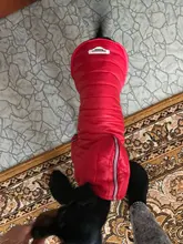 Small Dog Clothes Winter Warm Pet Dogs Coat Jacket Puppy Cat Outdoor Clothing Hoodies