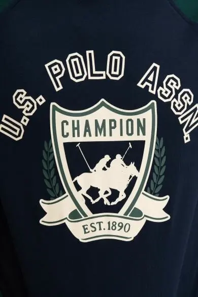 U.S. POLO ASSN. Обычная Толстовка