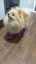 4 unidades/juego de zapatos de lluvia antideslizantes de Cachemira suave y cálida para mascotas, calzado suave a prueba de viento para perros y mascotas, zapatos impermeables antideslizantes
