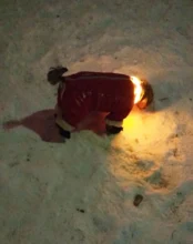 Pet-Supplies Leash Dog-Accessories Led-Collar Flashing Small Dog Night-Safety Rechargeable