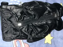 Jacket Dog-Coat Puppy Eagle-Pattern Waterproof Outdoor Outerwear Pet Small Soft Fashion