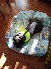 Chaleco impermeable para perros grandes y pequeños, abrigo cálido de invierno para cachorros, ropa para mascotas, 4XL, 5XL, nuevo