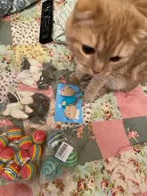 False-Mouse Simulation-Mice Noise-Playing-Toys Rabbit-Fur Kitten For Cats Pet-Supplies