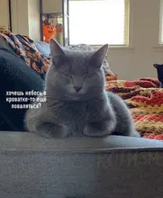 Sweater Dresses Robe Long-Sleeve Knitted Winter New Women Short Vestidos Slim A-Line