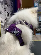 Harness Light-Weight Military-Service Truelove Dog Small Outdoor Tactical Medium Adjustable