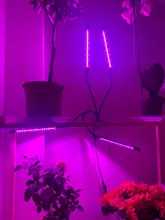 Phyto-Lamp Grow-Light Flower Seedlings Goodland USB Full-Spectrum For Plants LED 