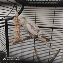 Bird-Toys Accessories Perch-Stand Cockatiel Budgie Parkiet Vogelspeelgoed 7pcs Jouet