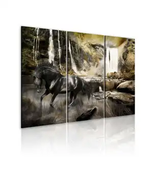 

Picture-Black Horse and rocky waterfall